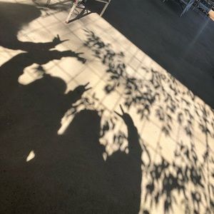 Meet your Posher, Allie